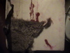 DSC00015.JPG