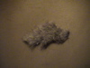 DSC00032.JPG