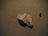 DSC00056.JPG