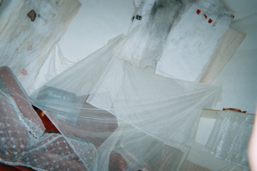 imm023