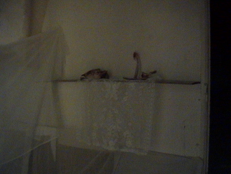 DSC00024