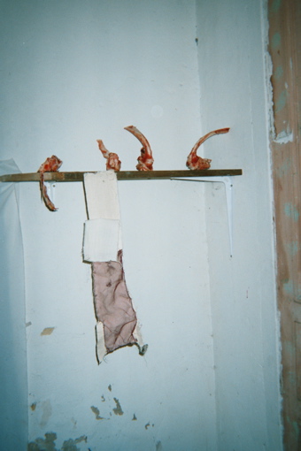 imm022