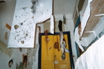 imm018