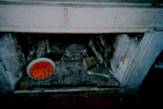 imm013