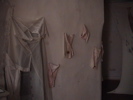 DSC00019