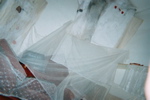 imm023
