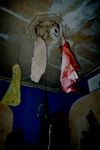 imm014
