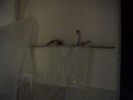 DSC00024